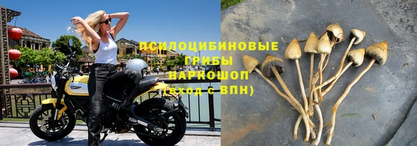 spice Алексин