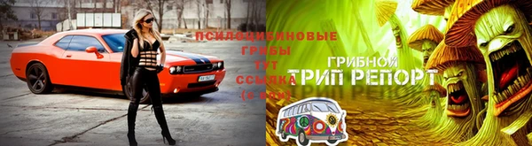 spice Алексин