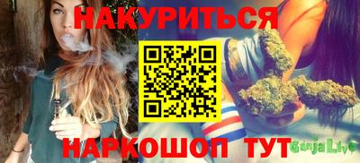 прущие грибы Обнинск