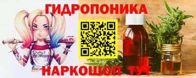 прущие грибы Обнинск