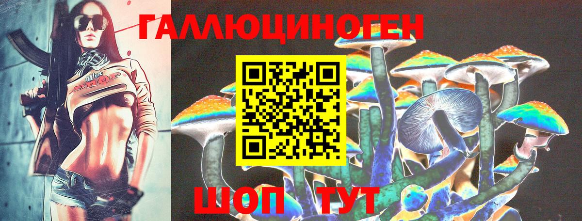Псилоцибиновые грибы Psilocybine cubensis  Вход с VPN  Чусовой 